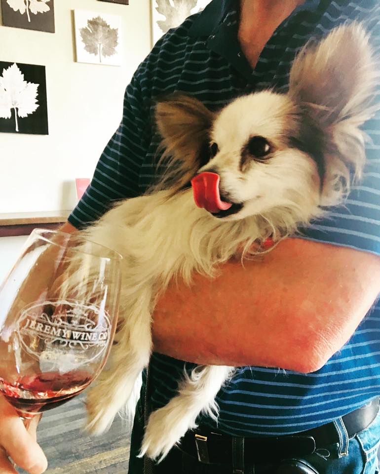 pet-friendly destinations