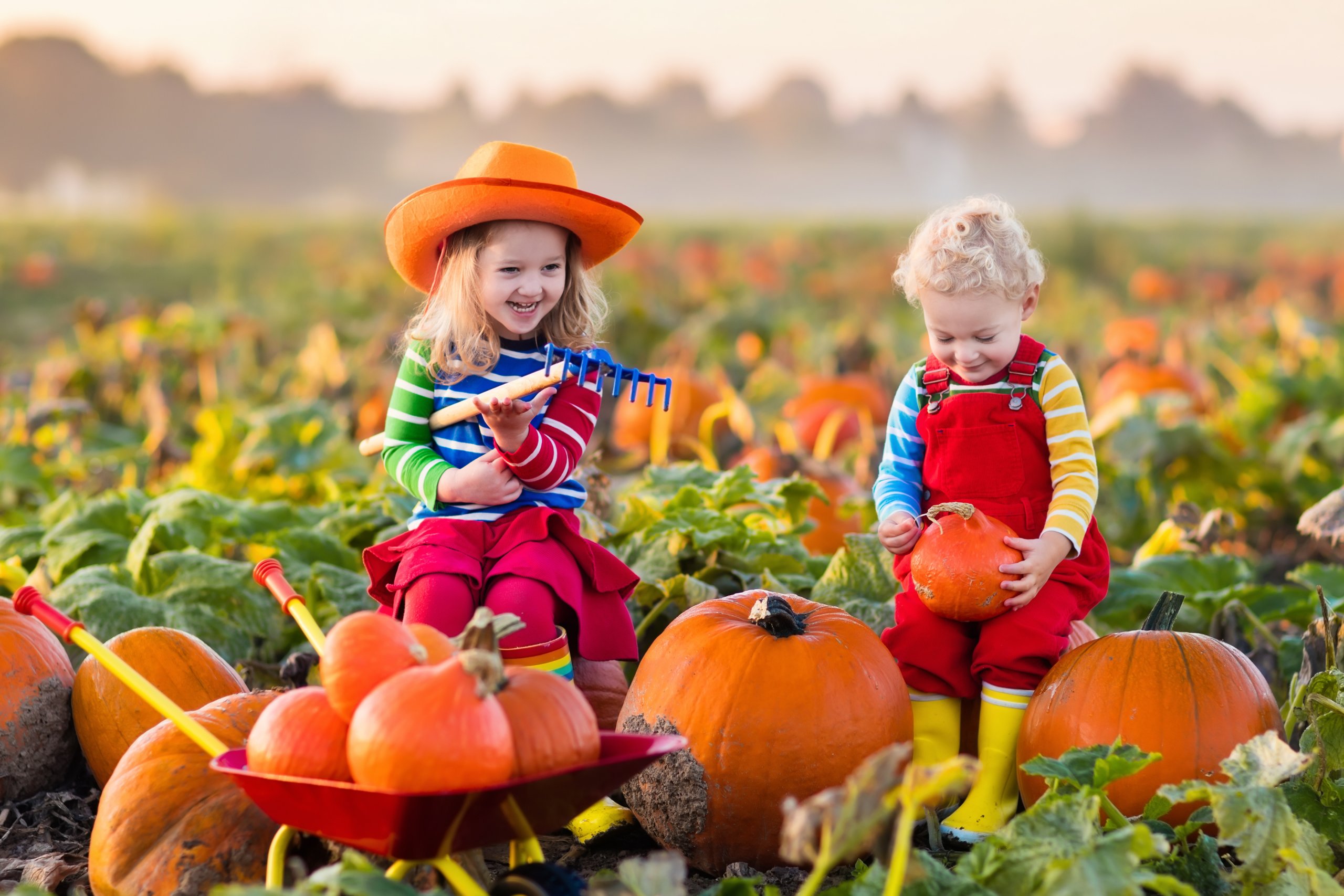 Fall In Love Iowa And Illinois Travel Zone By Best Western