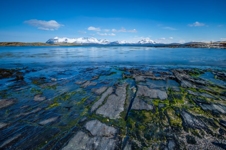A Stay to Remember in Sandtorgholmen | Northern Norway