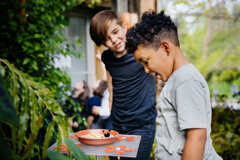 A Guide to Springfield, Missouri