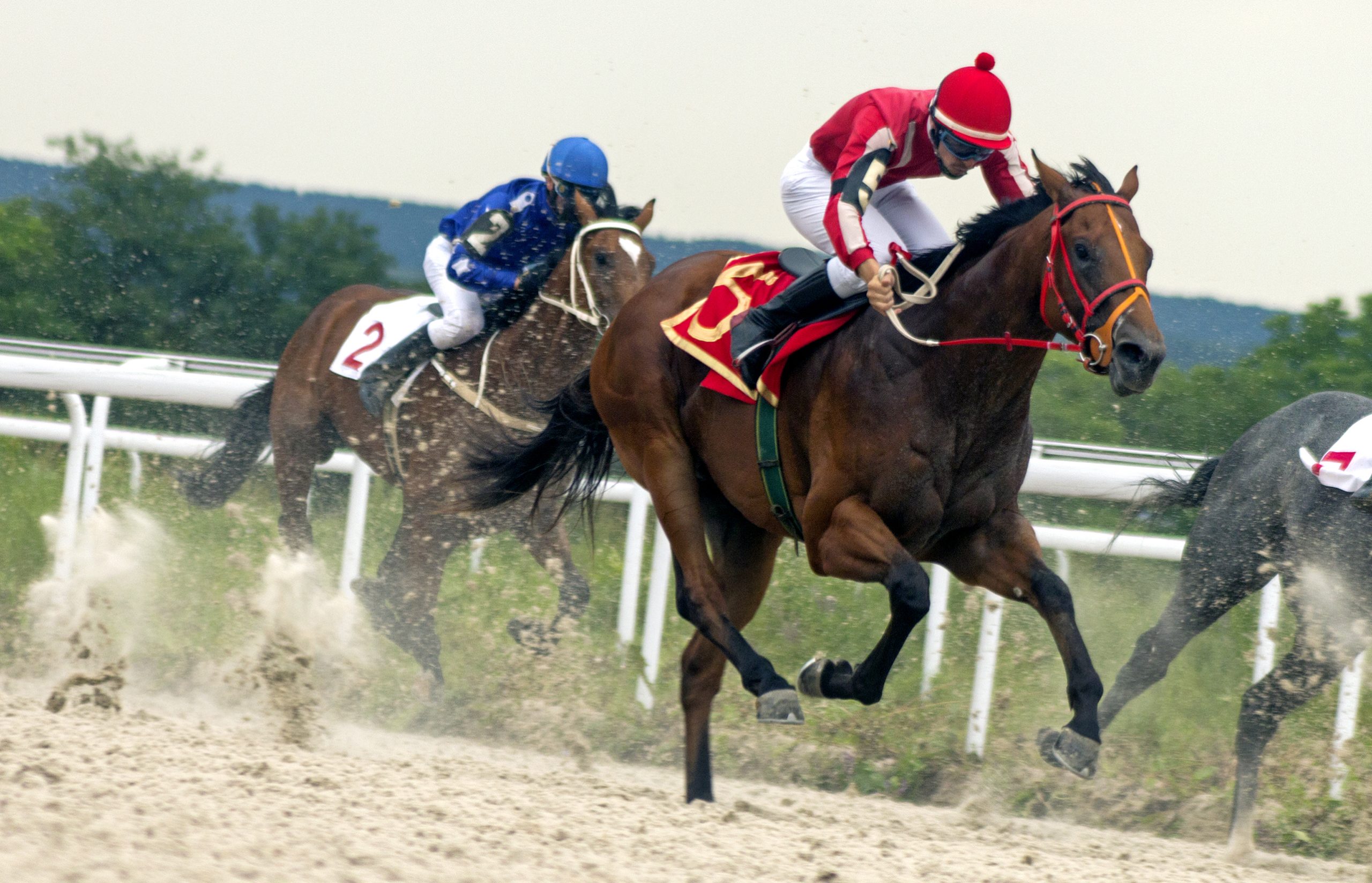 Your Off-Track Guide to the Kentucky Derby
