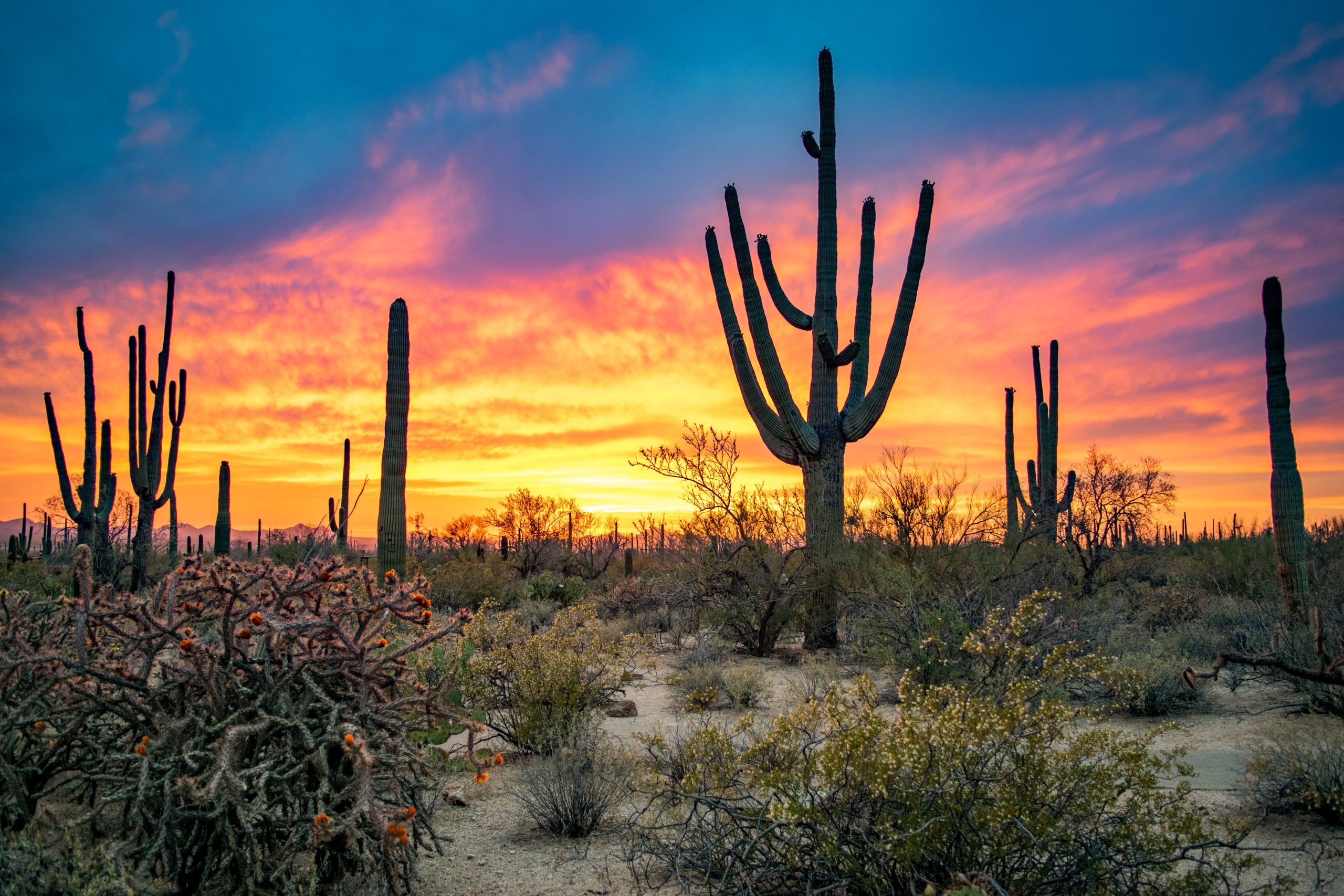 Underrated National Parks in North America