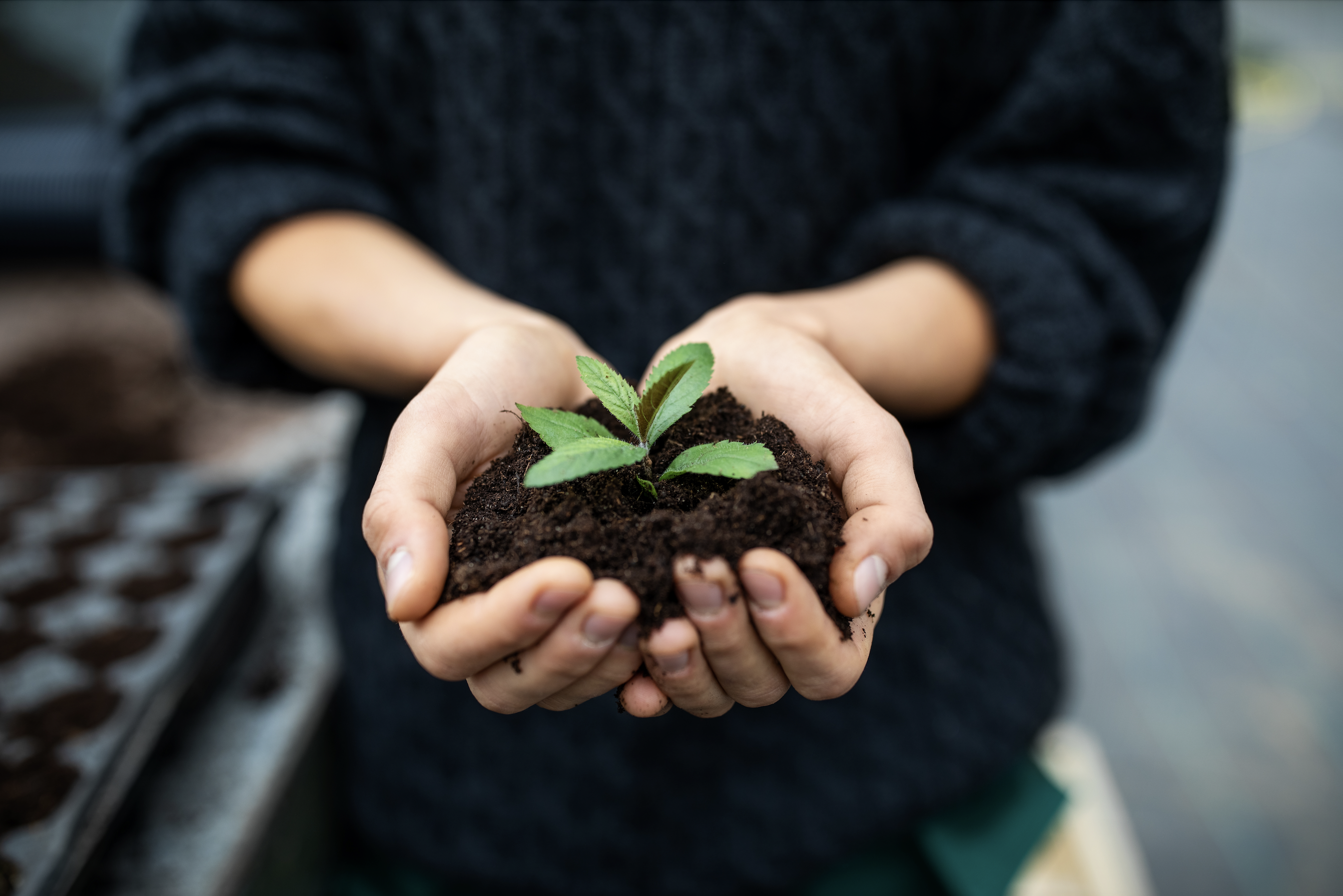 10 Tips to be Eco-Friendlier while Travelling