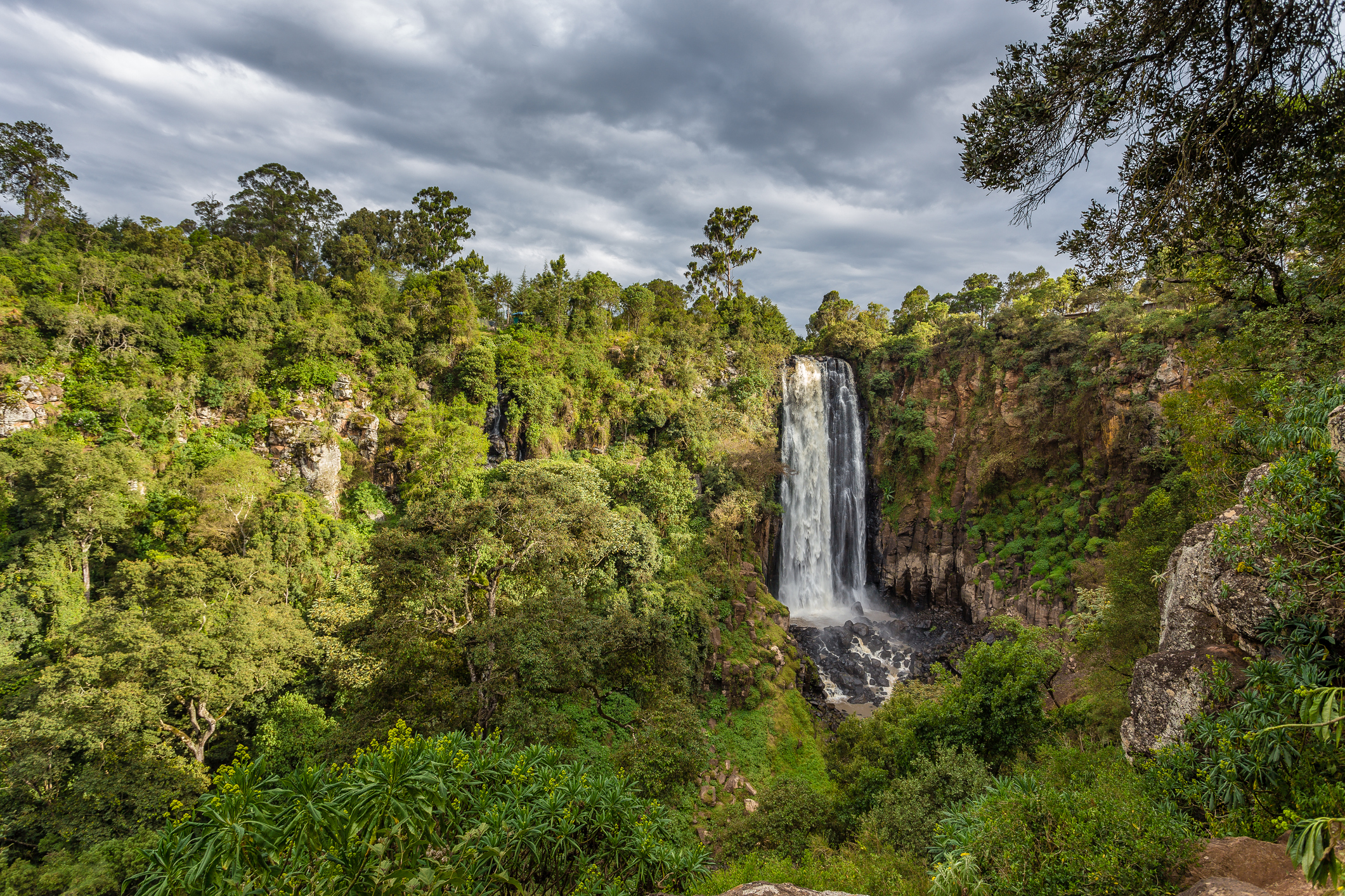 Digital Detox in Nyahururu | Nature, Mindfulness, and Safari Adventure 