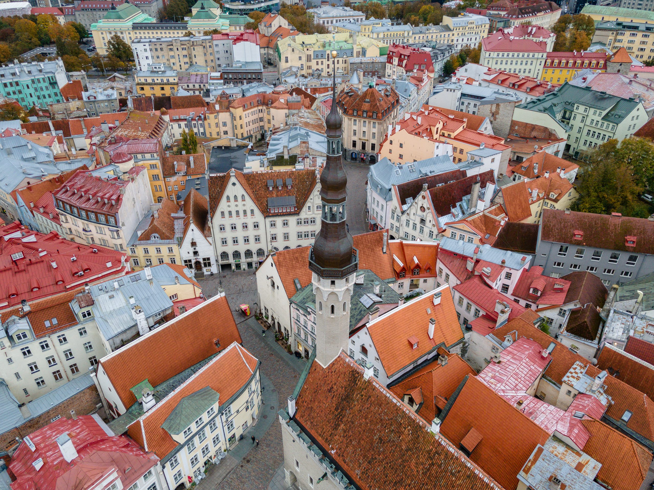Tallinn | The Rising Star of Northern Europe’s Arts Scene