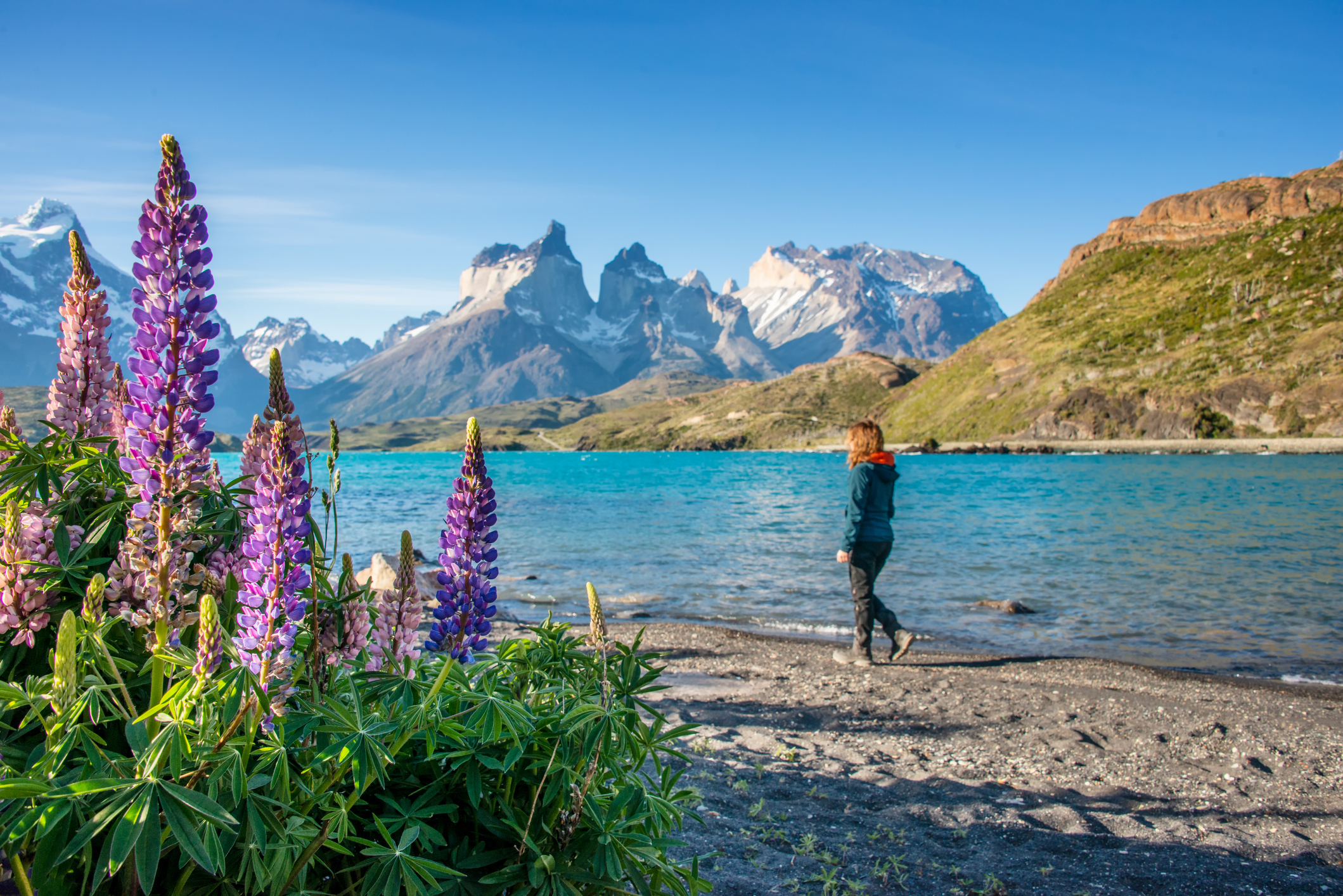 Why You Should Explore Patagonia, Chile