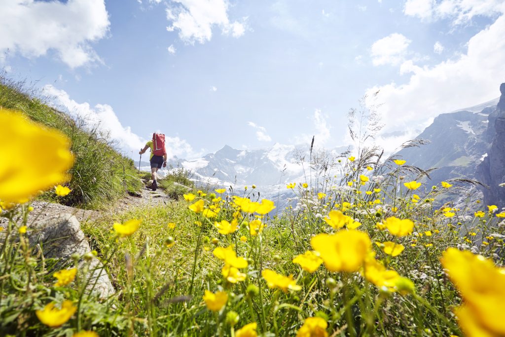 Spring Holiday Escapes