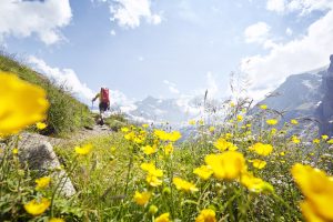 Spring Holiday Escapes