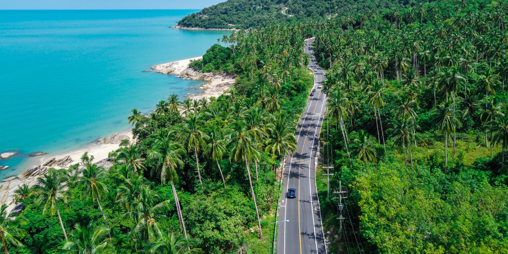 coastal road trip image with a blue ocean on the left, palm tree lined road in the center