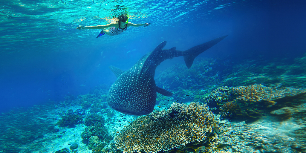 Cebu, Philippines
