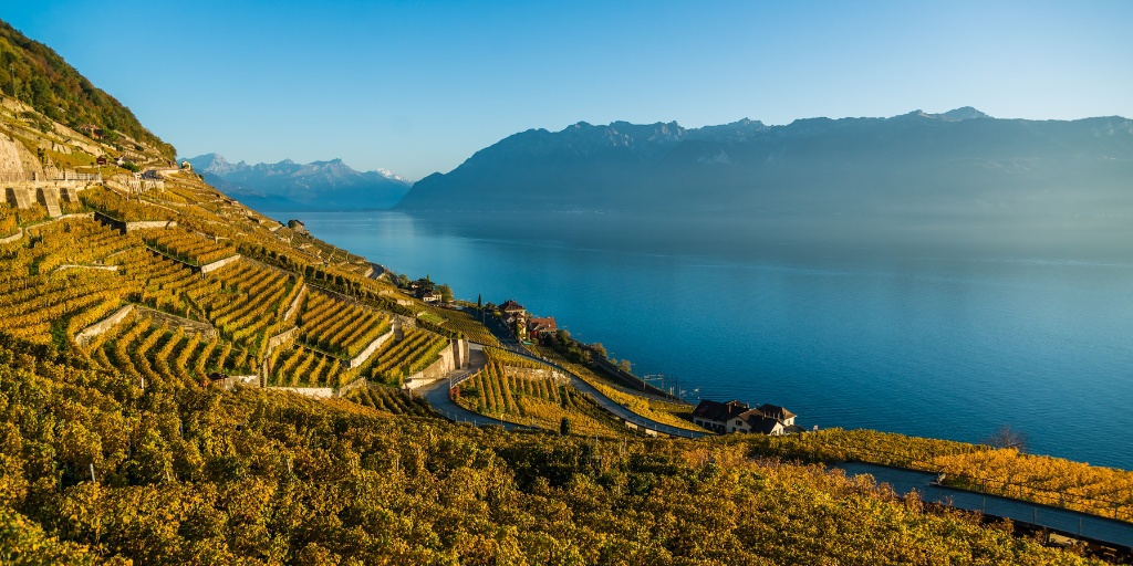 A UNESCO Paradise: Lavaux Wineries and Vineyard Trails