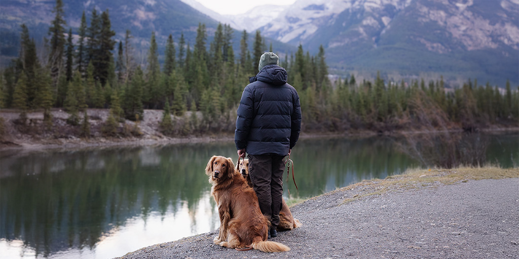 Two dogs with man standing at the base of a lake with lush green trees around