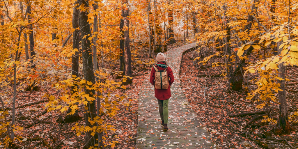 Woman walking in autumn foliage forest woods in city park with backpack. Travel hike fall destination in Quebec, Canada.