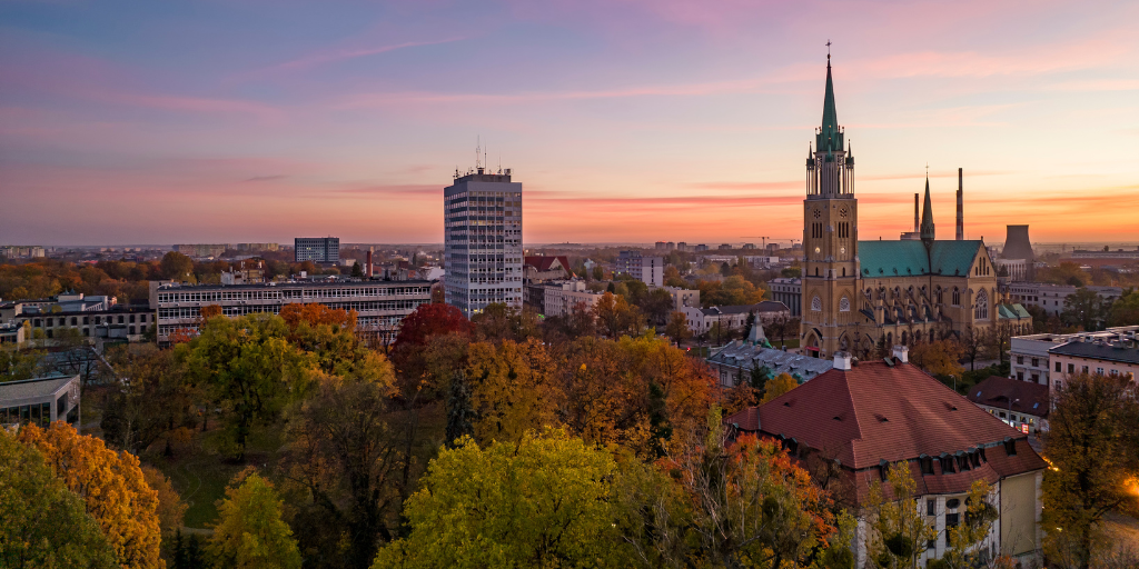 Skyline of Istanbul during fall with orange and yellow leaves on trees