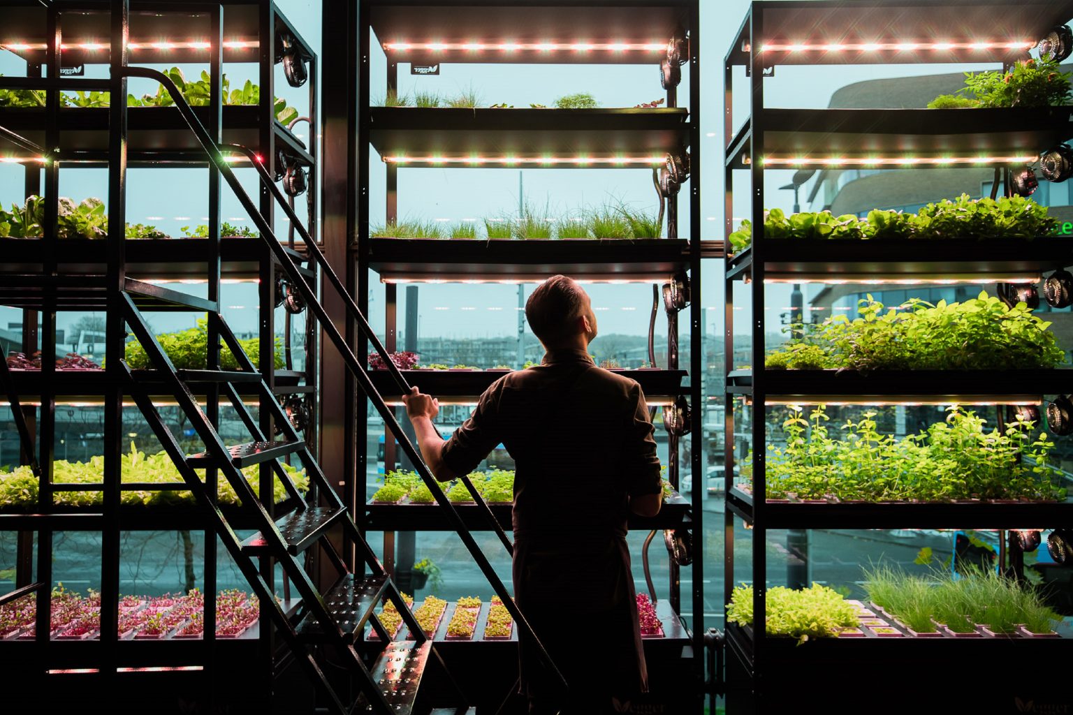 Man stands in front of a sustainable vertical farm with rows of vegetables growing