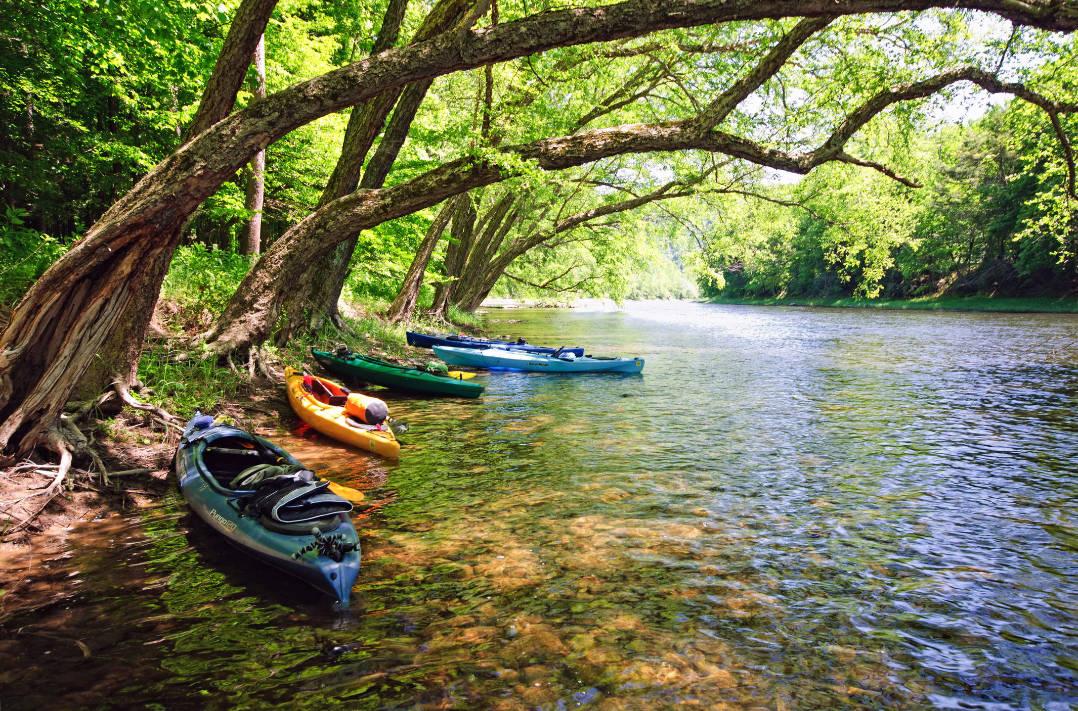 Top 5 Spring Meltwater Kayaking and Rafting Adventures in North America
