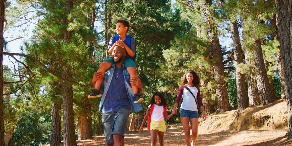 Top 5 Gentle Family-Friendly Hiking Trails in the US That Are Perfect for All Ages
