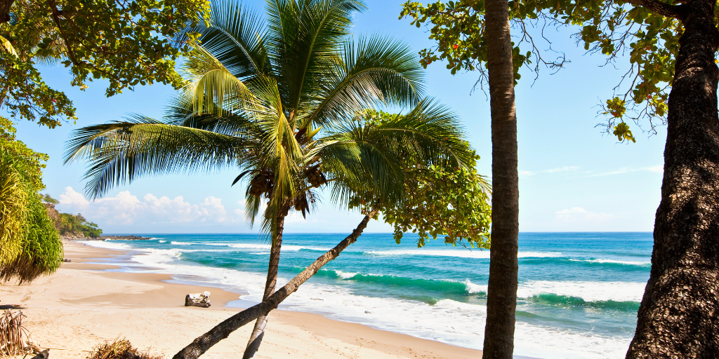A tranquil tropical beach is framed by swaying palm trees and lush greenery, with gentle waves rolling onto soft golden sand beneath a bright blue sky. The secluded shoreline and crystal-clear water create an idyllic island escape.