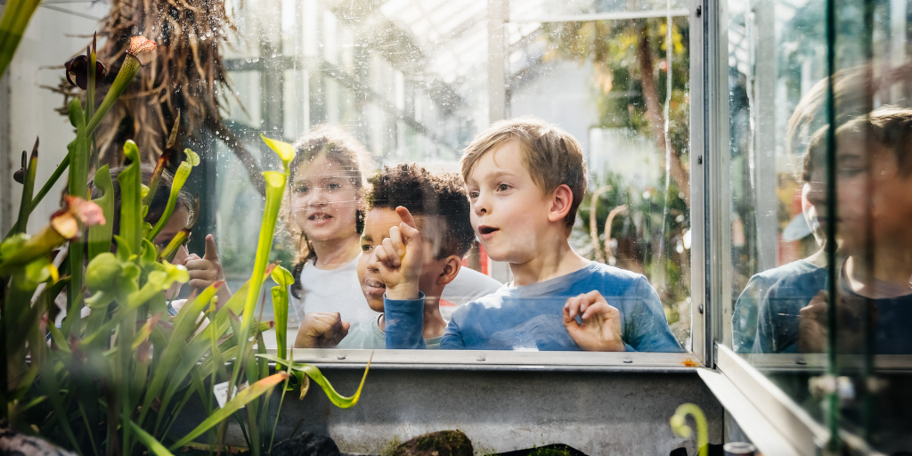 Stimulating North American Attractions Perfect For Inspiring Young Minds