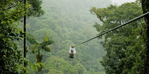 Jungle Thrills and Rainforest Adventures in Costa Rica