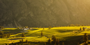 Discovering British Columbia's Remarkable Okanagan Valley: Canada's Wine Country 