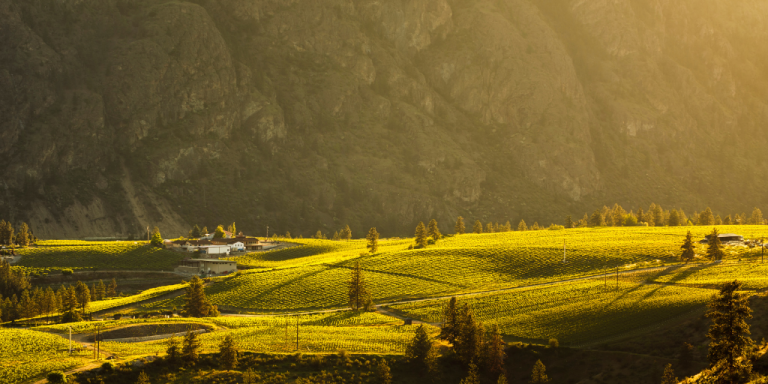 Discovering British Columbia's Remarkable Okanagan Valley: Canada's Wine Country 